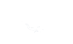 Dr. Cristiano Paiva