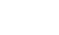 Orthopaedica